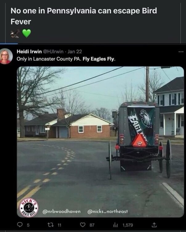 C4C195DF-E400-4614-8792-C856433D7477.jpeg