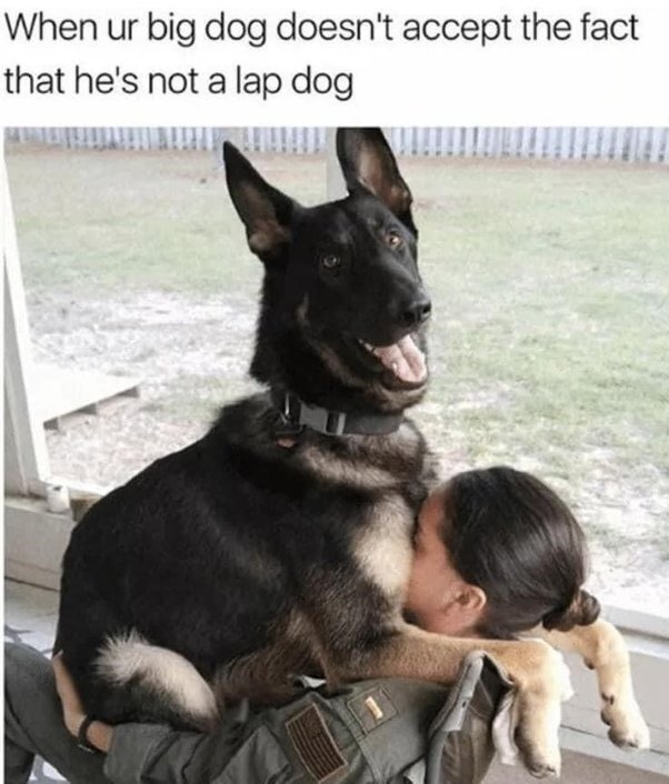 image.jpeg.16e12816bf5818f7fcd61e1da4dc38fe.jpeg