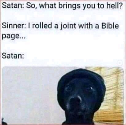 image.jpeg.21e34f5d6399c23577844c579660086b.jpeg