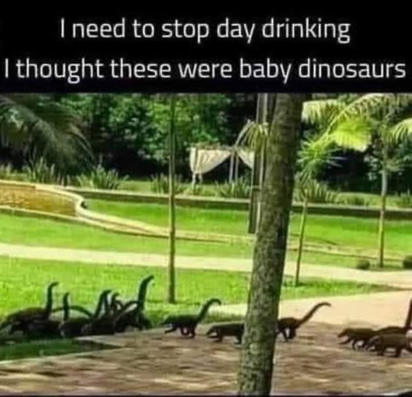 image.jpeg.6bcc5327d1b6c4bc2873bfe376b15300.jpeg