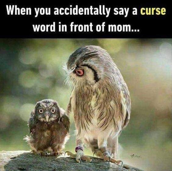 image.jpeg.6f327e3091227c02a678ac6d04f77722.jpeg