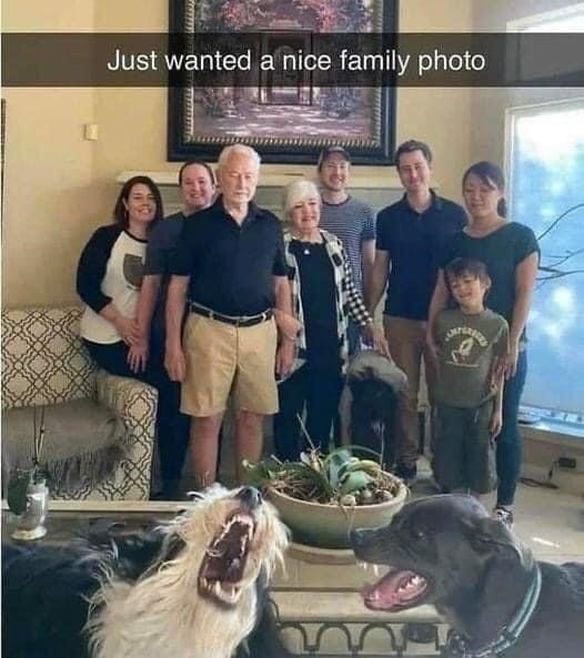 image.jpeg.9fd1a9119a0b4a14074f9836d72ca0f7.jpeg