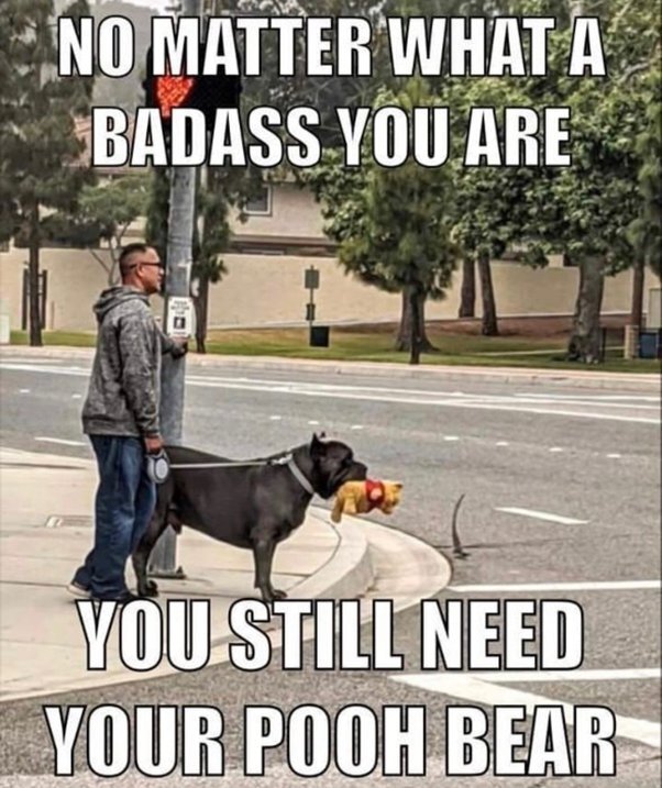 image.jpeg.b68b501dab879786915dce145e478450.jpeg