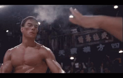 sand-vandamme.gif.cdf6b167c86defad94ec99dded3058cc.gif
