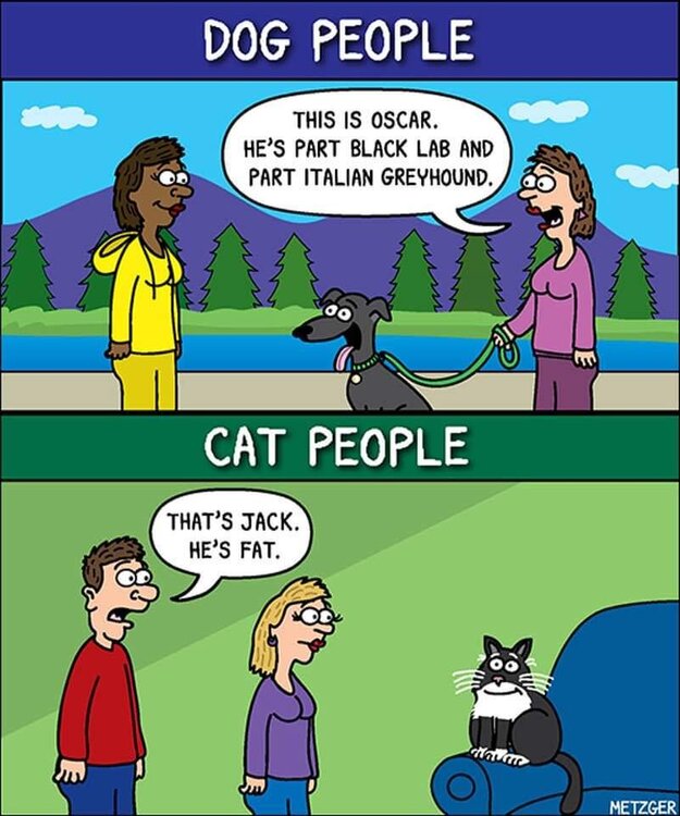 FB_IMG_1675476002761.jpg