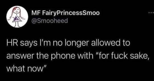 tweet-hr-no-longer-allowed-answer-fcks-sake-what-now.jpg.29012144df823e2c15a6ba412d11dacd.jpg