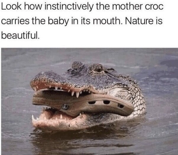 image.jpeg.e1980e981170859816d67fe44093bd43.jpeg