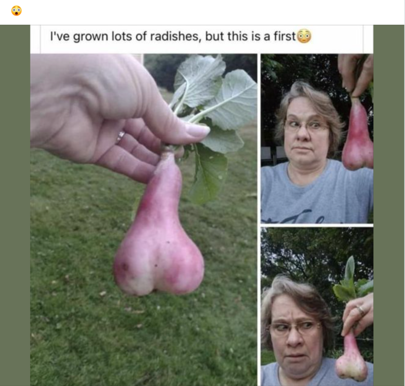 image.thumb.png.00e69e94f6a5b4d3e91dd5f430c708cb.png