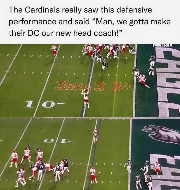 FB_IMG_1680381473354.jpg
