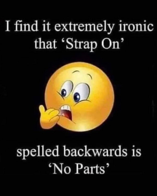 FB_IMG_1694398661285.jpg