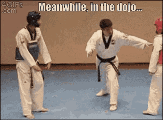 cd-dojo-dance.gif.a63b791a3e14c349dbf5aa6658673dc6.gif