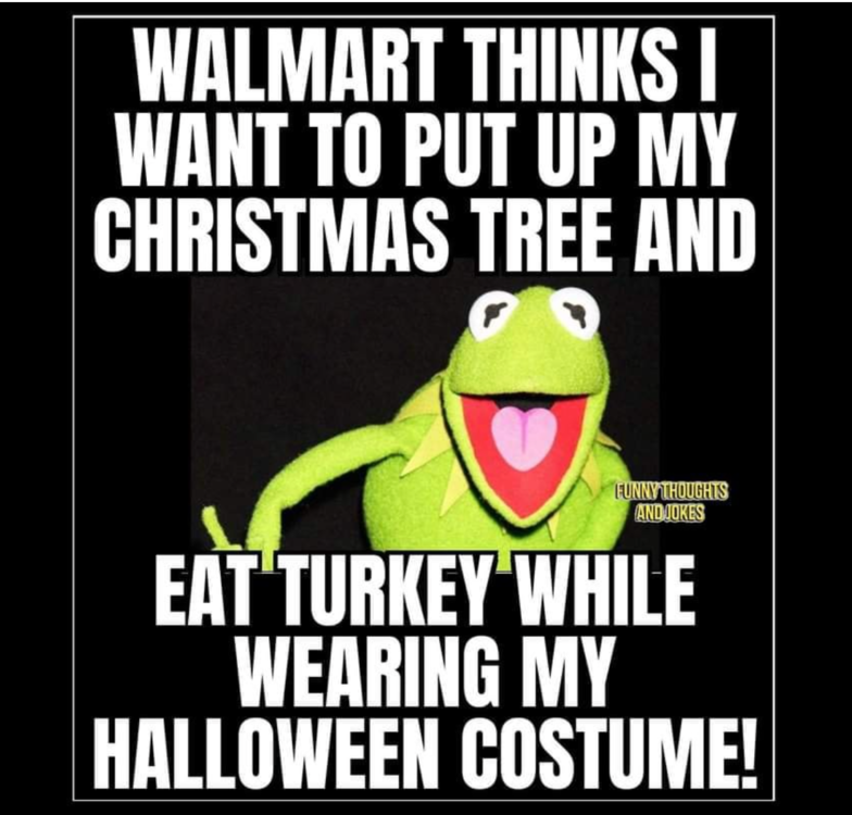 image.thumb.png.a7d591a1638a5ca85ea675c14ffaf24c.png
