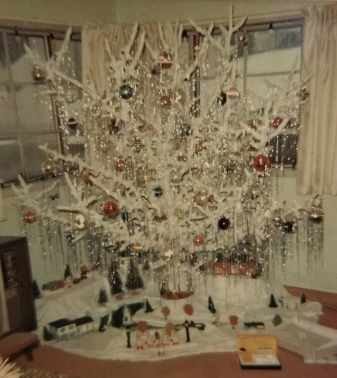 Cotton wrap tree.jpg