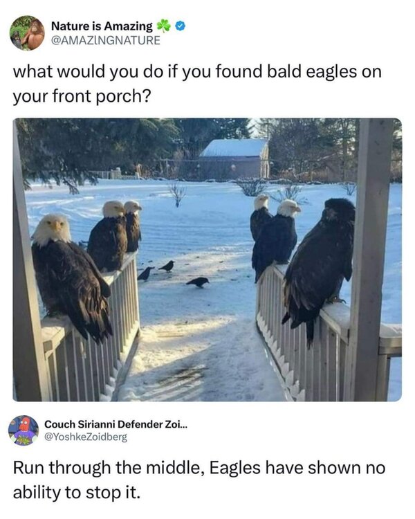 FB_IMG_1703215218284.jpg