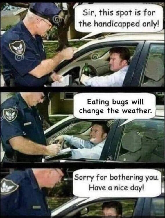 B99E21A1-7F34-41D0-9F8F-BDB5CA3F8D93.jpeg