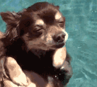 image.gif.f5dd25b44da1b2fbabf8b925b7faa249.gif