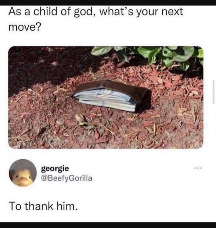 IMG_3562.thumb.jpeg.986e82c55e9bda4eab1615dbcf87efe8.jpeg