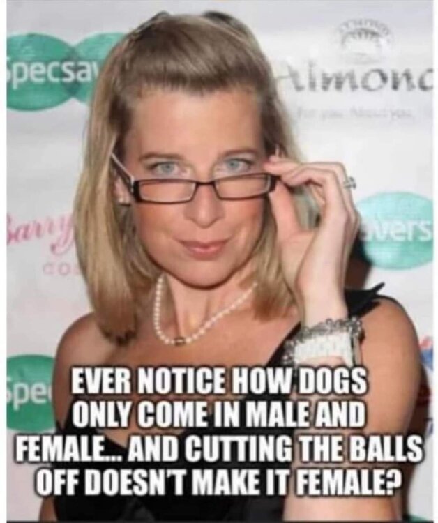 FB_IMG_1709770493012.jpg