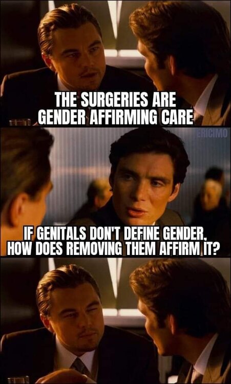 FB_IMG_1710004194006.jpg