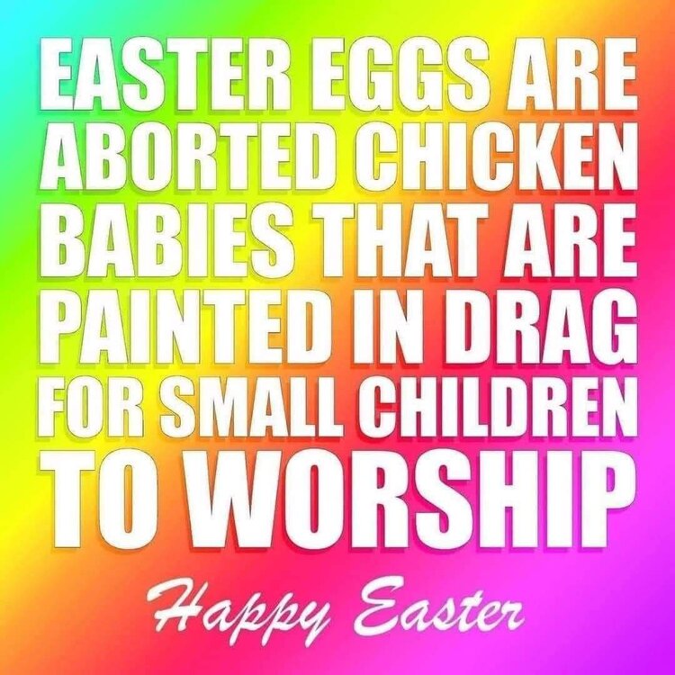 FB_IMG_1711236356777.jpg