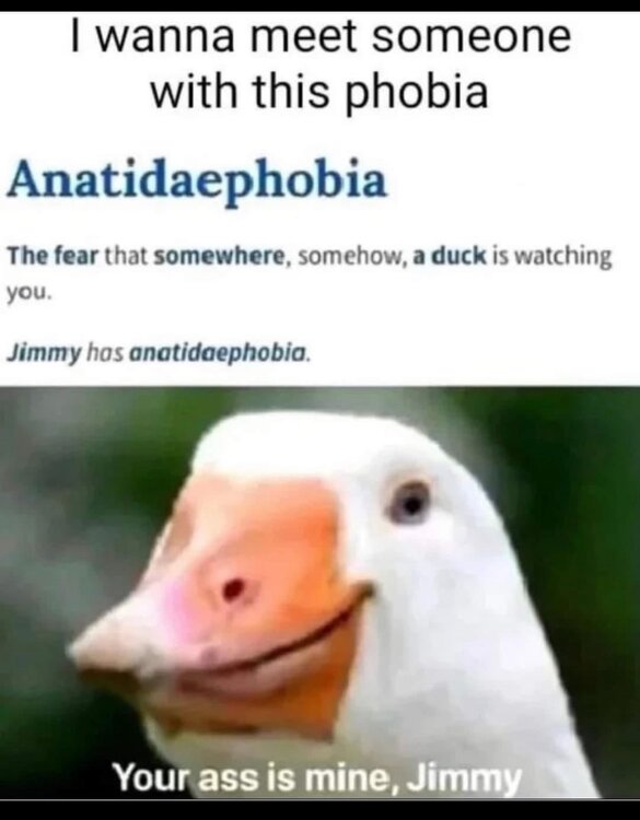 IMG_3858.thumb.jpeg.f6c5b81c23fde49e265b2e9e01ac9dd5.jpeg