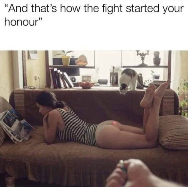 image.jpeg.07875cc65f0ed802faf23304c5806266.jpeg