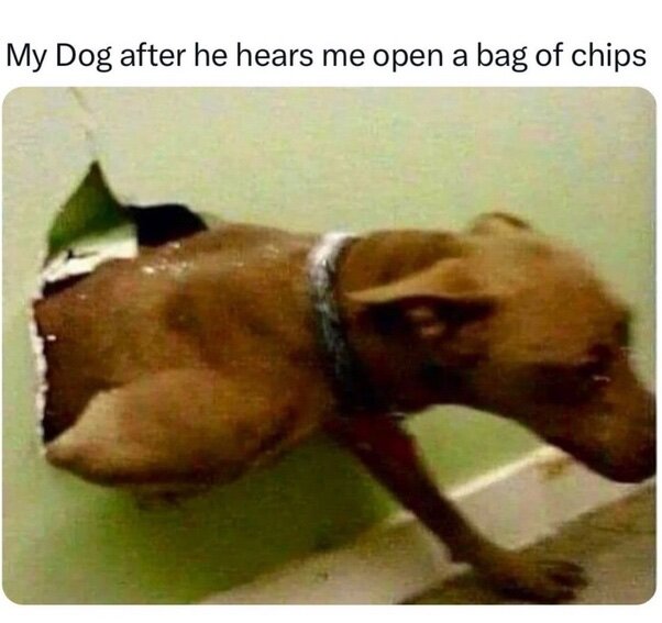 image.jpeg.18c7ca59b706fcbc1a9a9fda661767e6.jpeg