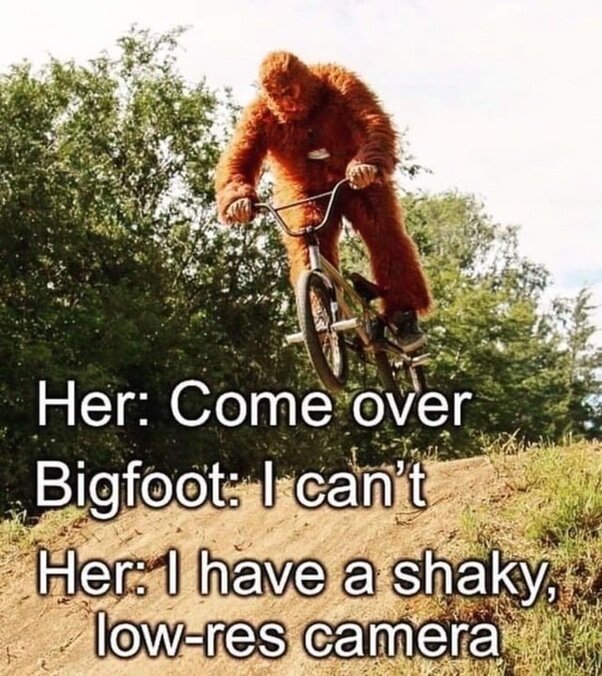 image.jpeg.cdcd9f3cb21fd9bc0025fedc20fa8dae.jpeg