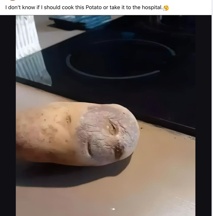 image.thumb.png.e52d3a172fc8bd7c14afa41c6d00c298.png