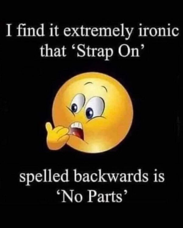 FB_IMG_1694398661285.jpg