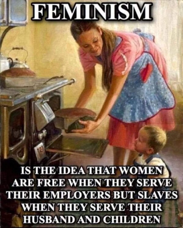 FB_IMG_1698888494184.jpg