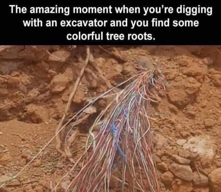 FB_IMG_1712604965951.jpg