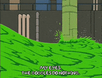 IMG_0943.gif.78694208bf532071c8a3a9fe0b4e182a.gif
