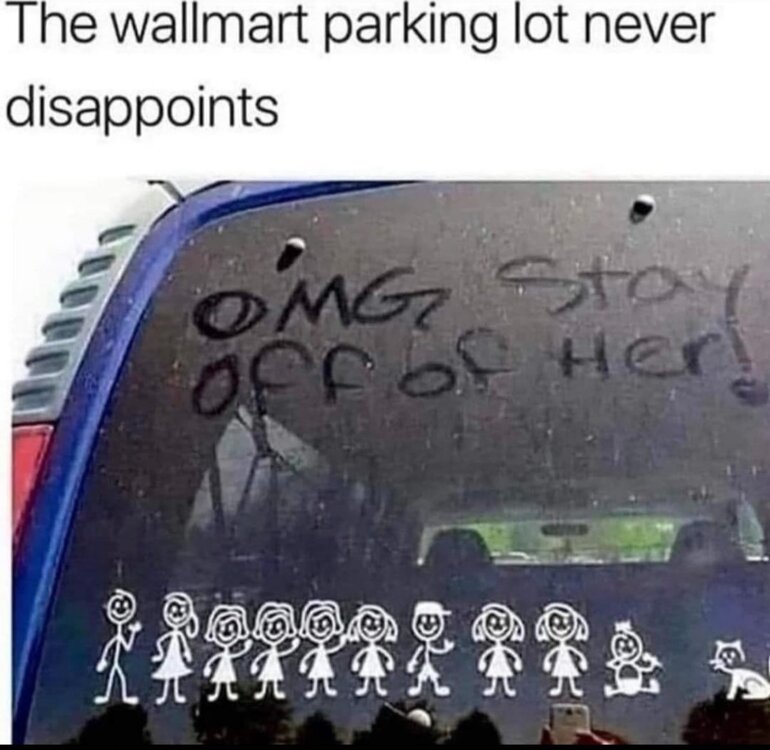 IMG_3848.thumb.jpeg.44046b51fcbd9437ec0eafd8b194a11b.jpeg