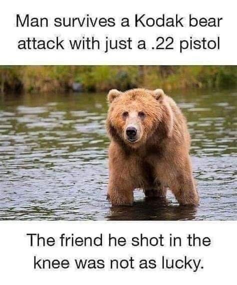 image.jpeg.3bed8c20282c76213e589ebae8fbb5e1.jpeg