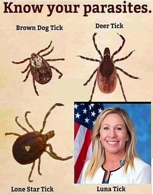 image.jpeg.438a6b324b78e99cbd8c8279293d917c.jpeg