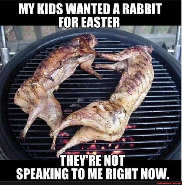 image.jpeg.5a8ec287548c5ba3621a71068a5cfca7.jpeg