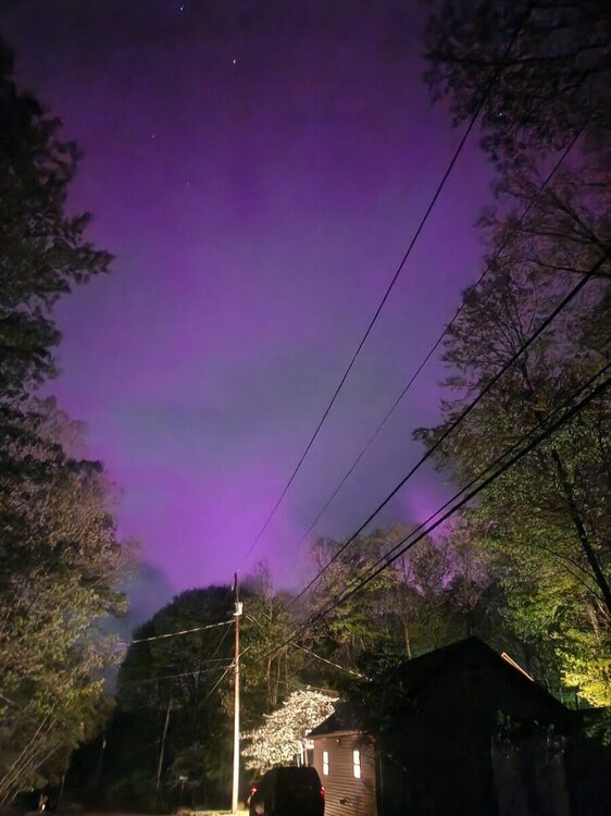 20240510_225732.thumb.jpg.944a642e8b17b7d2e22763a259b572cf.jpg