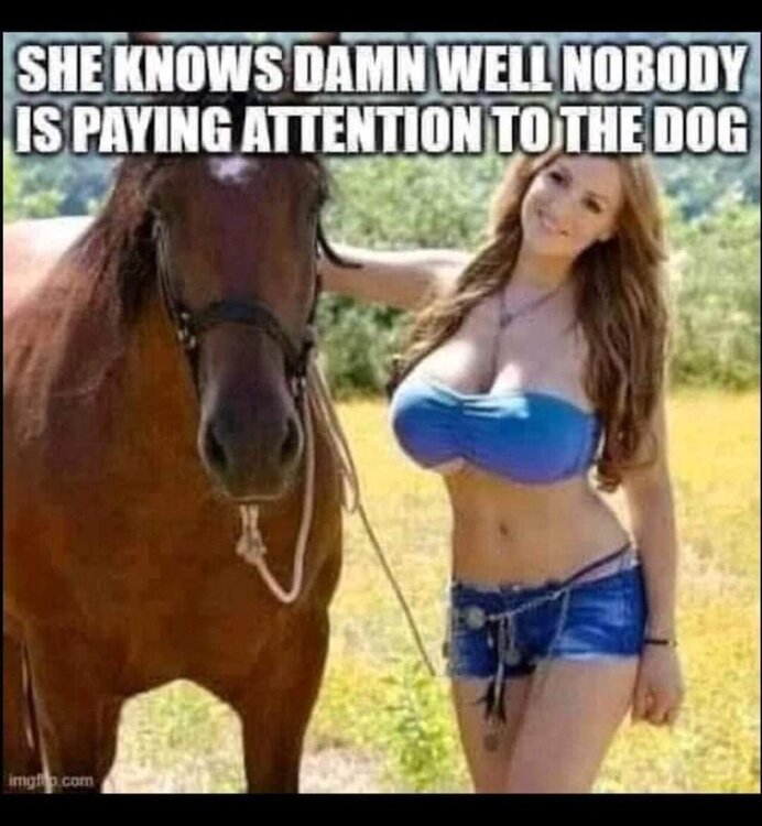 FB_IMG_1715027135708.jpg
