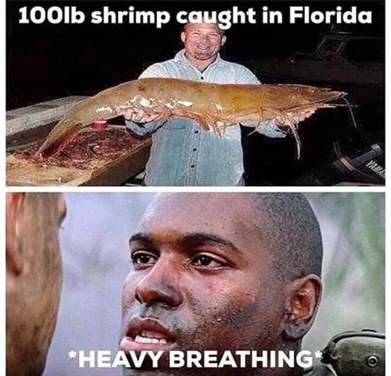 FB_IMG_1716698449637.jpg