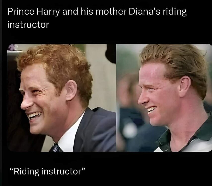 image.thumb.jpeg.0bd1d0ddcc549669d1cfcd963a681978.jpeg
