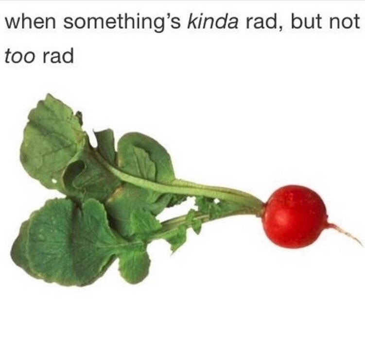 image.thumb.jpeg.53b1d447ddebe9c186f903f22913b59d.jpeg
