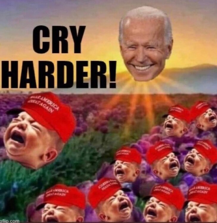 image.thumb.jpeg.7997bc3fbec753b71ed2117525bbe1f9.jpeg