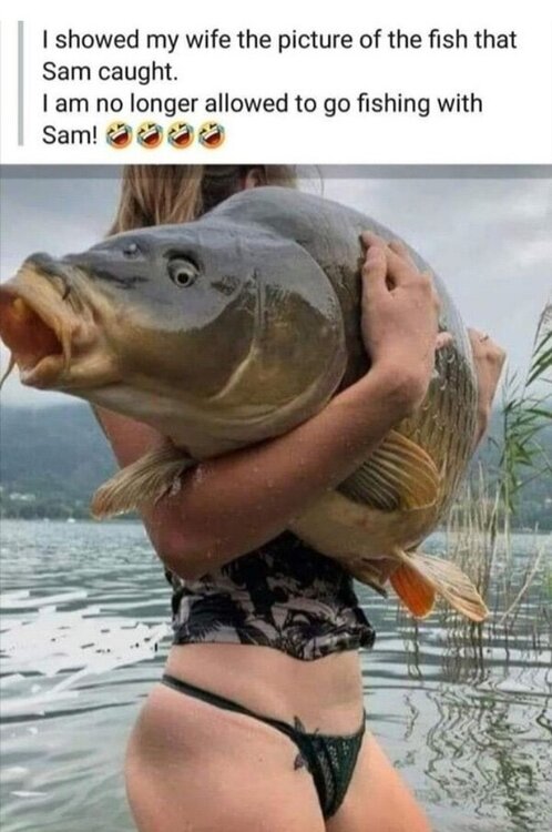 image.thumb.jpeg.ab05008504d9f6d6ae33c546ace6b38b.jpeg