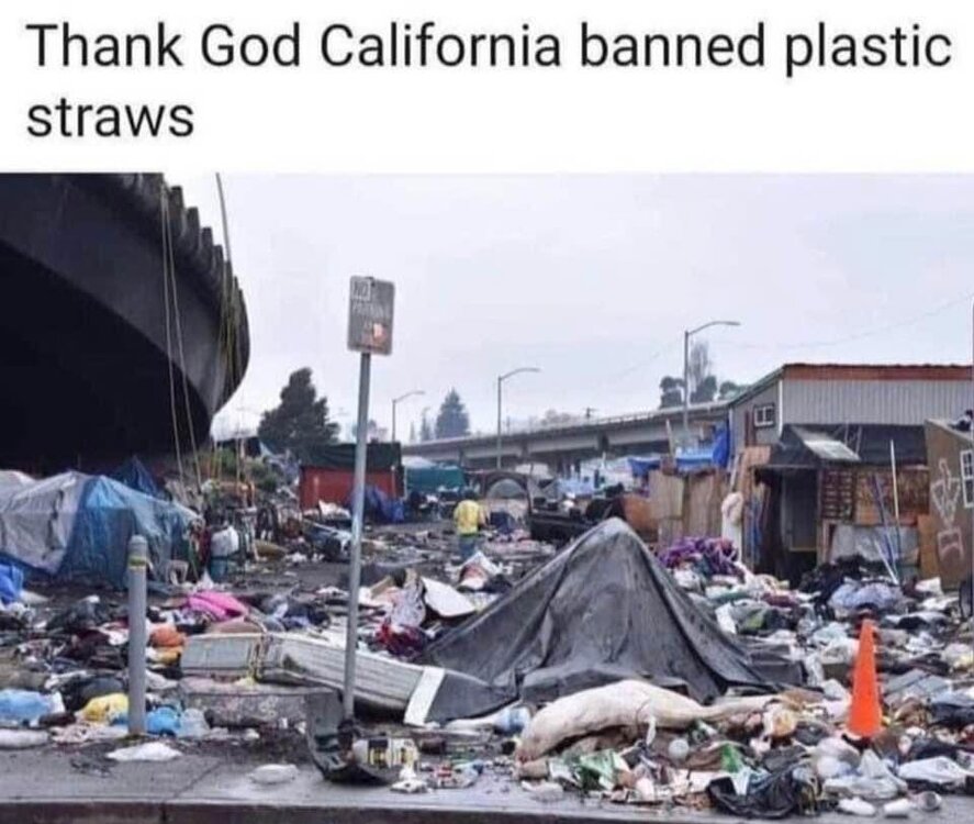 image.thumb.jpeg.b7f1f22a2d018bbfcf090afd25abfb13.jpeg