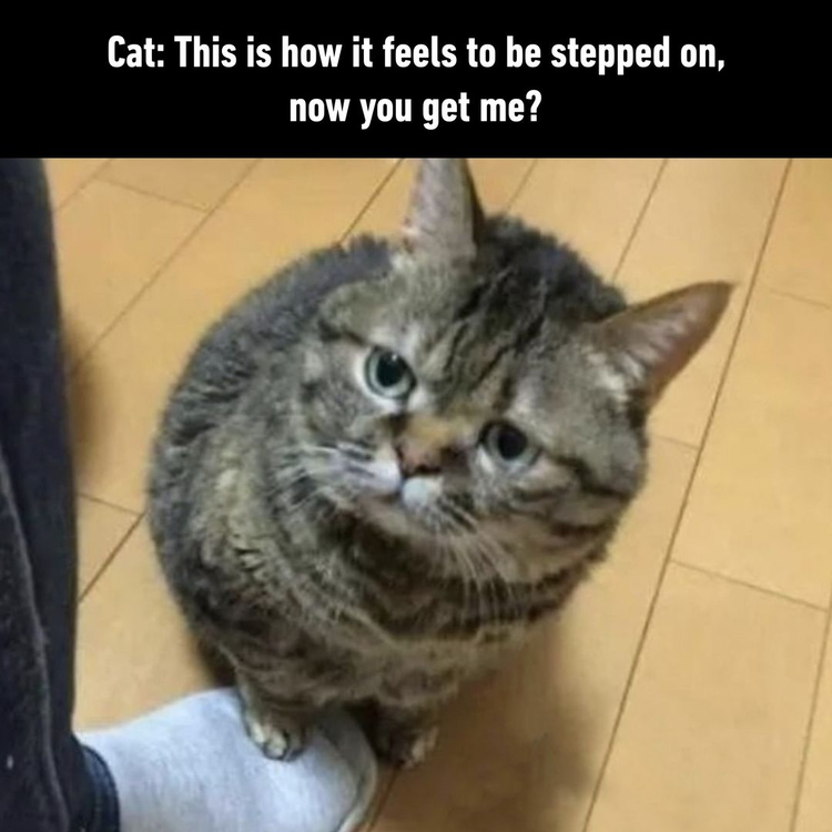 image.thumb.png.99cc3a66c96025b7361199242980c65f.png