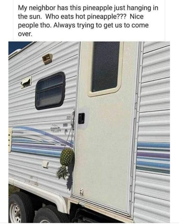 FB_IMG_1719056433451.jpg
