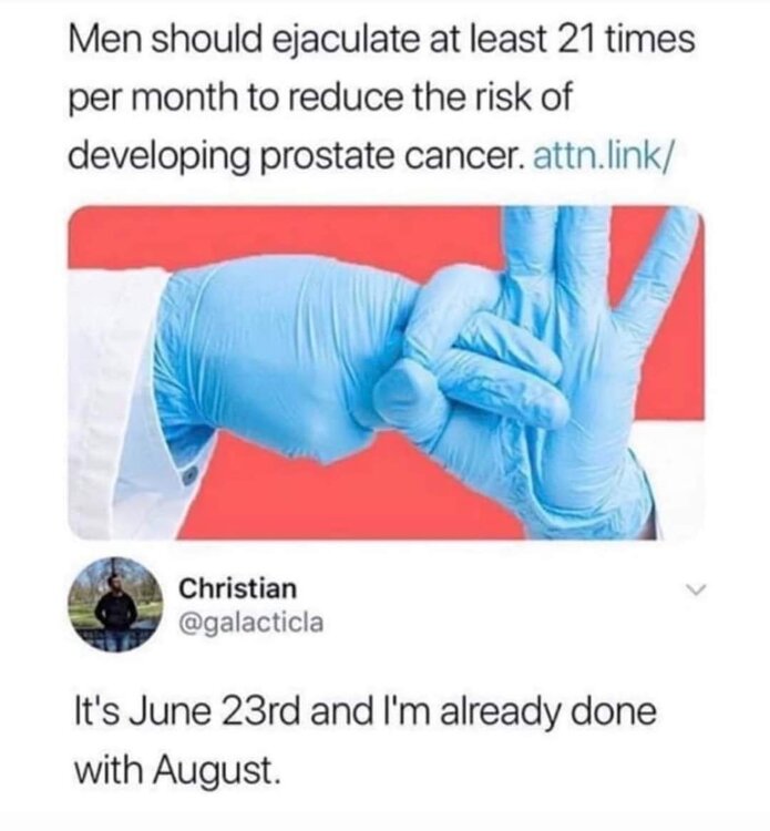 FB_IMG_1719267540602.jpg