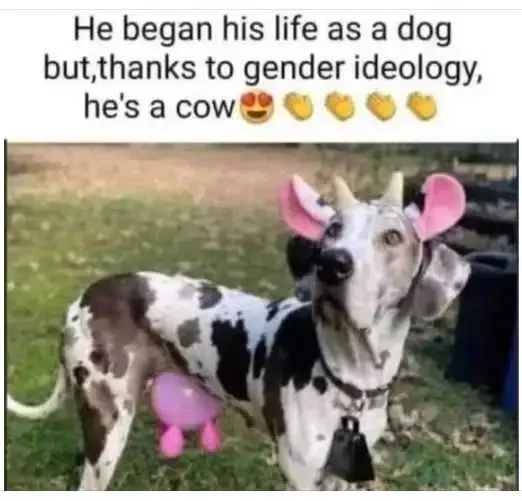 began-life-as-dog-gender-ideology-cow.webp.939a8aede2db3a1612431ec2a0d2705e.webp