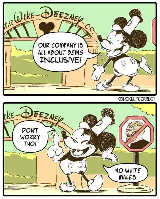 disney-inclusive-no-white-males.webp.e74d211583ff050050bca57f6ae7a148.webp